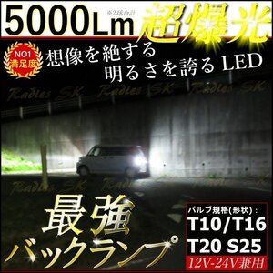 バックランプ T16 T10 ホワイト 爆光LED 12V 24V 2個 バックランプ ポジション ライセンス モデル キャンバス 5000lm 1年保証 Radies SK