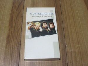 カッティング・クルー CUTTING CREW 愛に抱かれた夜 ( I Just ) Died In Your Arms 国内 ビデオ ニック・ヴァン・イード モッキンバード 他