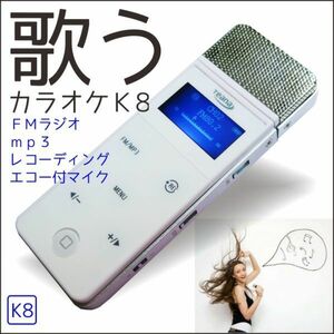 ハモリ・カラオケプレーヤーＫ８　録音/再生　ｍｐ３プレーヤー　ステレオマイク 1個