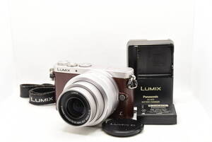 ■ 美品 ■Panasonic LUMIX DMC-GM1S + G VARIO 12-32mm F3.5-5.6 ASPH. MEGA O.I.S. 《充電器付き》#943G4400