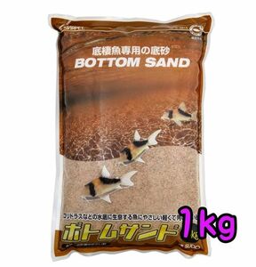 ボトムサンド 1kg コリドラス ドジョウ アクアリウム 天然砂 細粒 レイアウト メダカ 金魚 スッポン