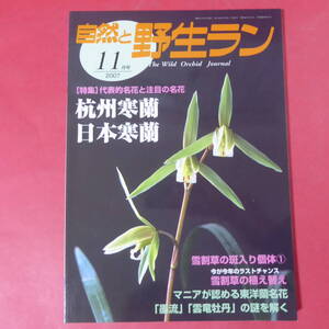 YN3-250109☆自然と野生ラン 2007年11月号　※ 寒蘭 雪割草 ※ 園芸JAPAN