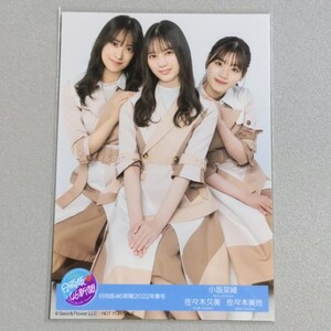 日向坂46 小坂菜緒 佐々木美玲 佐々木久美 日向坂46新聞 2022年春号 生写真 2