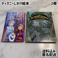 Disney ディズニー しかけ絵本 2冊 ホーンテッドマンション アナ雪