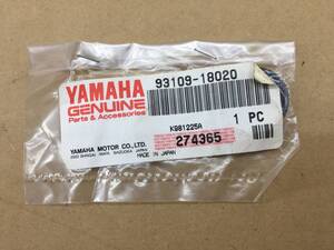 残2 ヤマハ 純正品 RZ250R スイングアームオイルシール 93109-18020 ドラッグスター400 RZ50