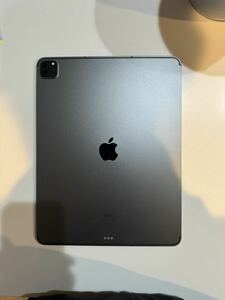 Apple iPad Pro 12.9インチ (第5世代) Wi-Fi + Cellular 128GB スペースグレイ MHNR3LL/A A2379