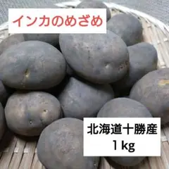 インカのめざめ　北海道十勝産　１kg