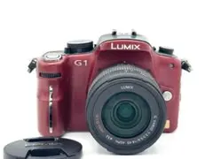 【完動品】LUMIX G1 + G VARIO 14-45mm ミラーレス一眼