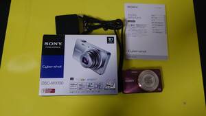 SONY Cybershot DSC-WX100 動作品