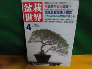 盆栽世界 2007年4月号 椿盆栽から桜盆栽へ