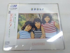 未開封品 CD選書 夏が来た！