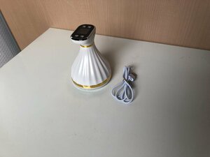 撮影使用品 アウトレット EMS 顔 身体 美容器 美顔器 キャビテーション LEDライト 光エステ RF ラジオ波 ダイエット 訳あり サンプル