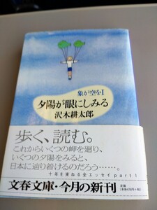 「夕陽が眼にしみる　象が空をⅠ」沢木耕太郎　文春文庫