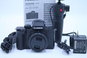 ■極上品■ PANASONIC DC-G100V-K