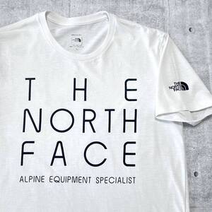 THE NORTH FACE Tシャツ ゴールドウィン ノースフェイス　　ドライ ビッグロゴ デカロゴ 静電気防止 UVケア UVカット 玉10192