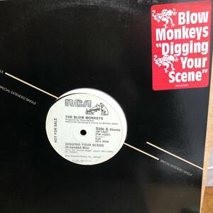 DJ MURO MIX-CD収録 試聴 ☆ THE BLOW MONKEYS / DIGGING YOUR SCENE 12inc 